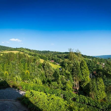 Villa Brody Wisła Eksteriør billede